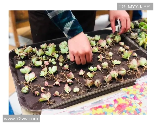 2019东亚四国赛日本与韩国的激烈对决回顾与精彩瞬间分析 2019东亚四国赛日本与韩国的激烈对决回顾与精彩瞬间分析