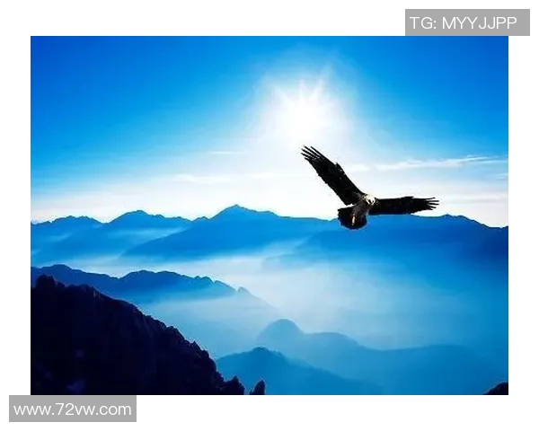 深度探讨张磊在王者荣耀中的成长与人生哲学 深度探讨张磊在王者荣耀中的成长与人生哲学